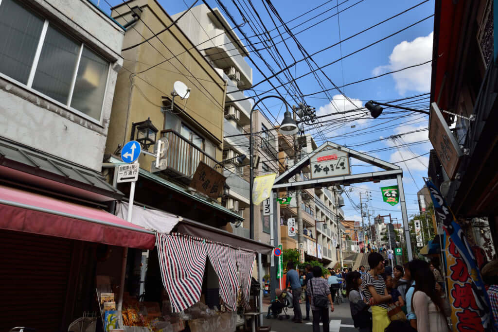 Cat Lovers, Head to Yanaka / Pen ペン