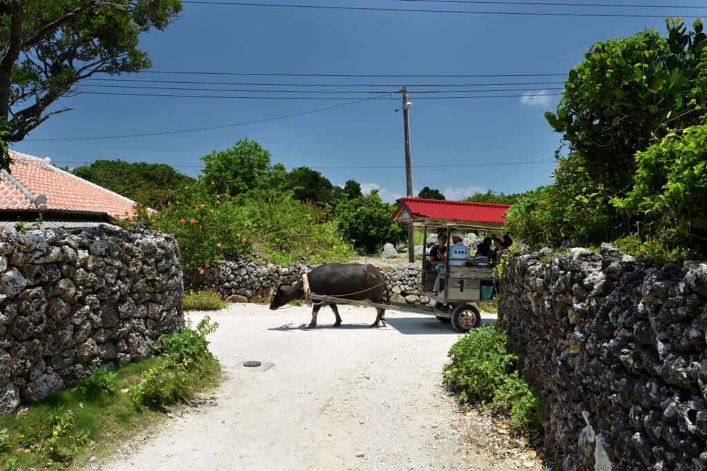 Taketomi, the Epitome of Unspoiled Natural Beauty / Pen ペン