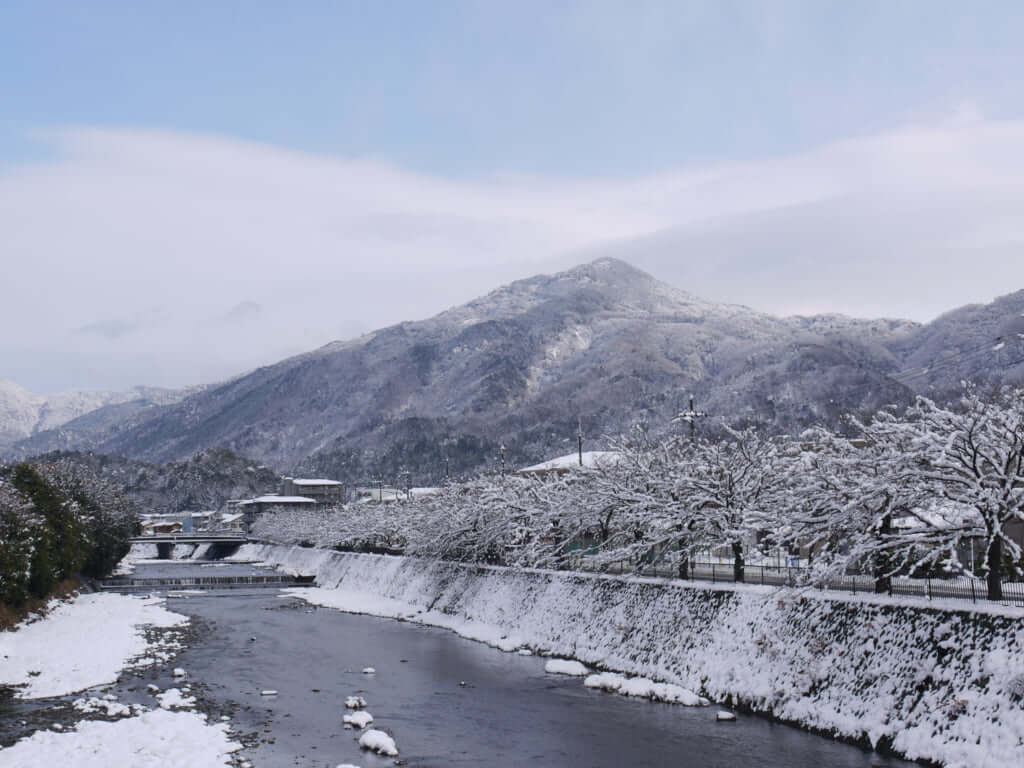 Thé japonais d'Uji, du haut de gamme - Actualité - Gault&Millau