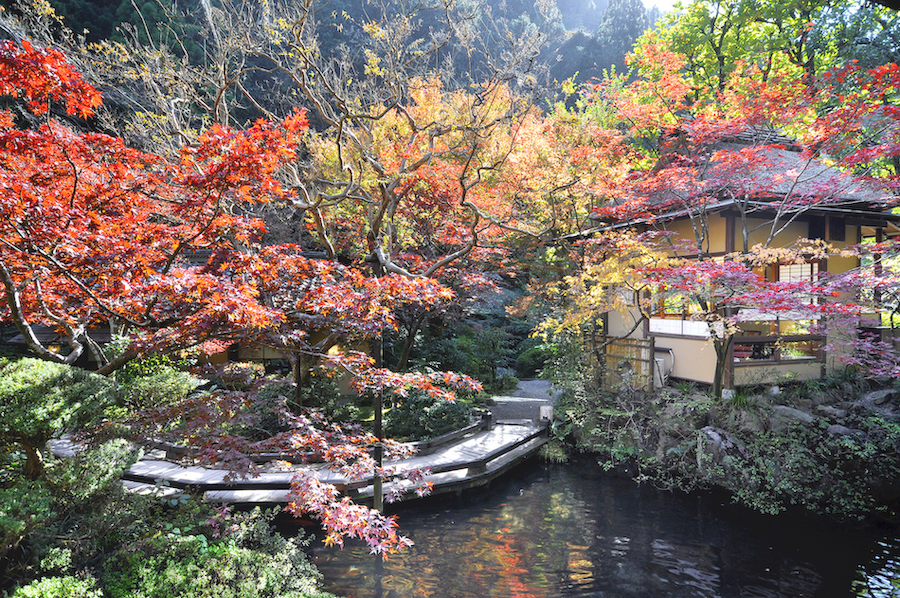 Ukai Toriyama in Hachioji, Tokyo - SAVOR JAPAN