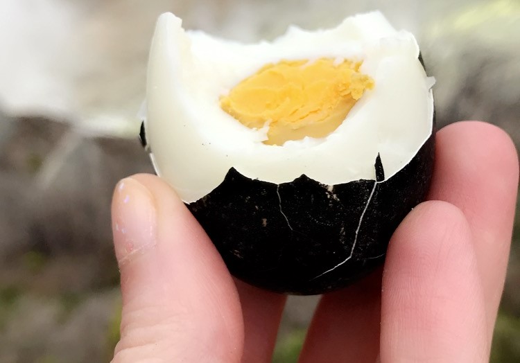 The Tradition of the Black Eggs of Mount Hakone / Pen ペン